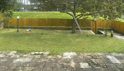 Ponggol Seventeenth Avenue (D19), Detached #585473331